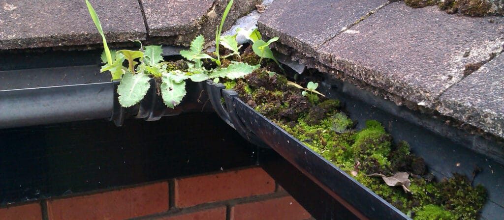 gutter cleaning in dublin